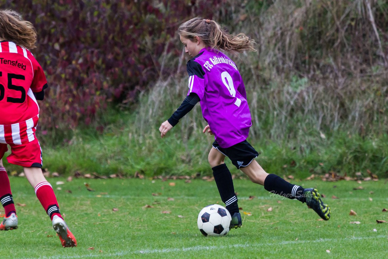 Bild 241 - C-Juniorinnen TuS Tensfeld - FSC Kaltenkirchen : Ergebnis: 2:4